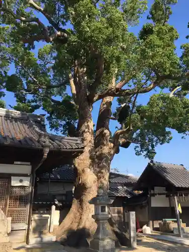 踞尾八幡神社のその他建物