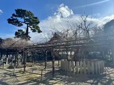 葛井寺(大阪府)