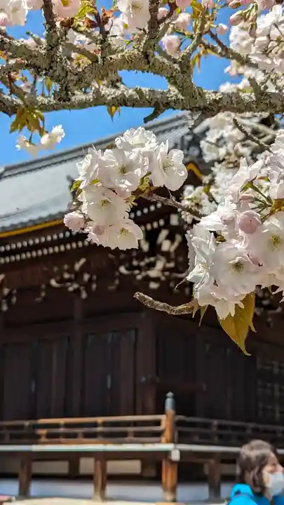 仁和寺(京都府)