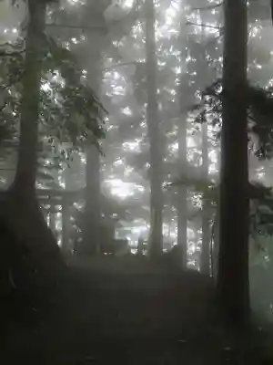 玉置神社の{uncategorized: "未分類", other: "その他", undefined: "問題あり", building: "その他建物", grave: "お墓", sacred_gate: "鳥居", guardian: "狛犬", statue: "像", buddha: "仏像", history: "歴史", nature: "自然", garden: "庭園", animal: "動物", pagoda: "塔", temizu: "手水舎", mountain_gate: "山門・神門", sanctuary: "本殿・本堂", subordinate: "末社・摂社", art: "芸術", scenery: "景色", jizo: "地蔵", ema: "絵馬", goshuin: "御朱印", omikuji: "おみくじ", items: "授与品その他", amulet: "お守り", goshuincho: "御朱印帳", eats: "食事", festival: "お祭り", votive_dance: "神楽", shichigosan: "七五三参", wedding: "結婚式", experience: "体験その他", initially: "初詣", around: "周辺", anti_infection: "感染症対策"}