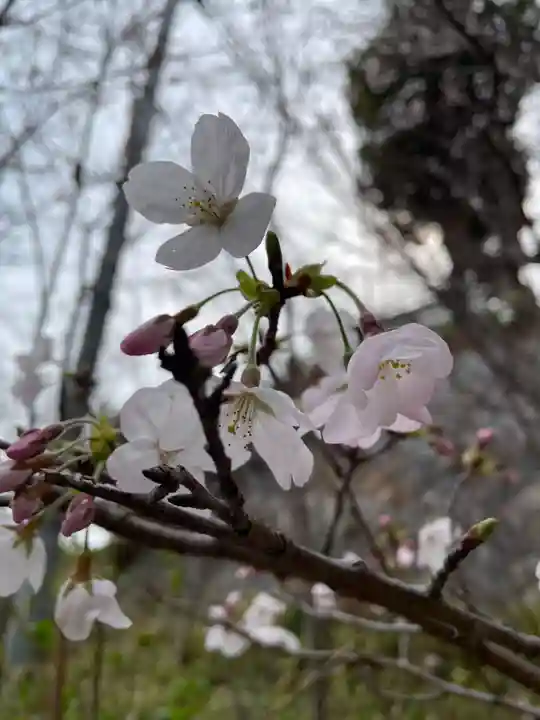 荷松院幸大寺(兵庫県)