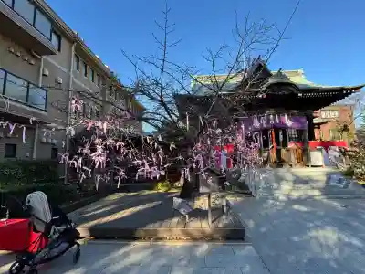 桜神宮(東京都)