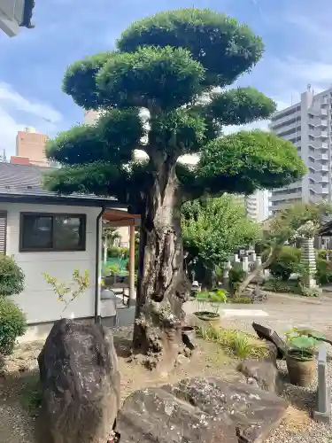 応願寺(栃木県)