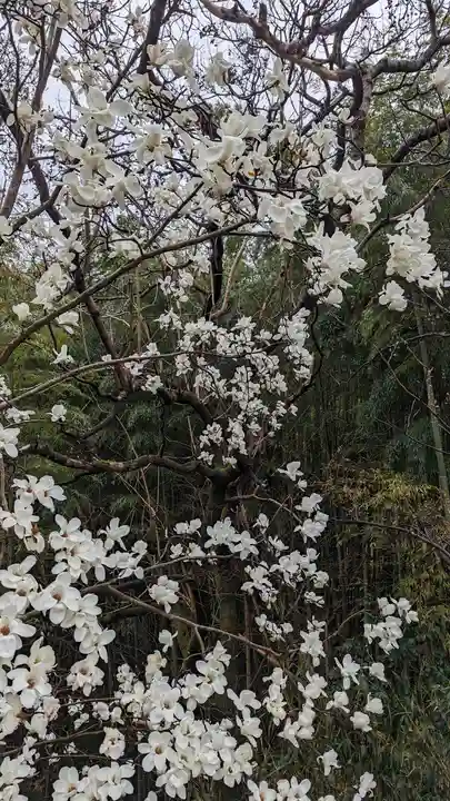 正法寺(京都府)