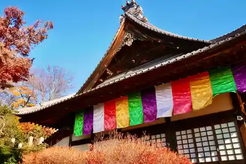 埼玉厄除け開運大師・龍泉寺（切り絵御朱印発祥の寺）の本殿