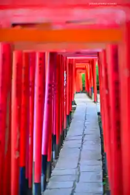 根津神社(東京都)