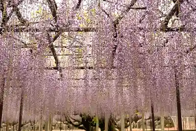 長泉寺(埼玉県)
