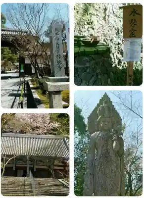 禅林寺(永観堂)(京都府)