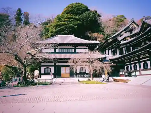 長谷寺(神奈川県)