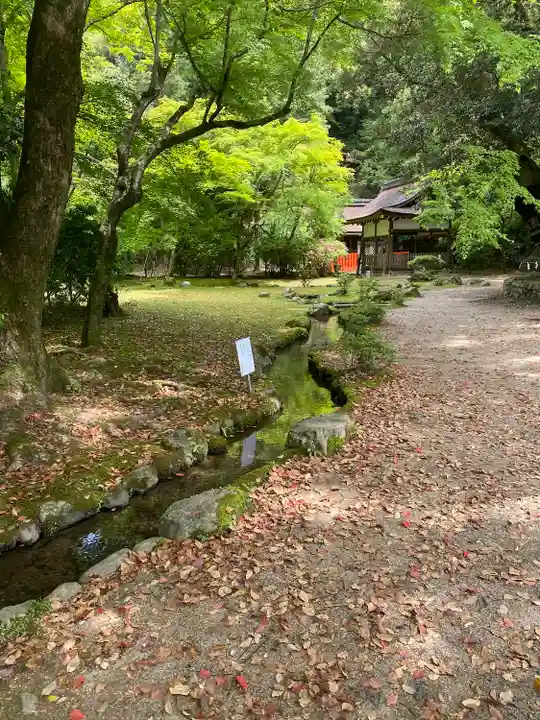 賀茂別雷神社(上賀茂神社)(京都府)