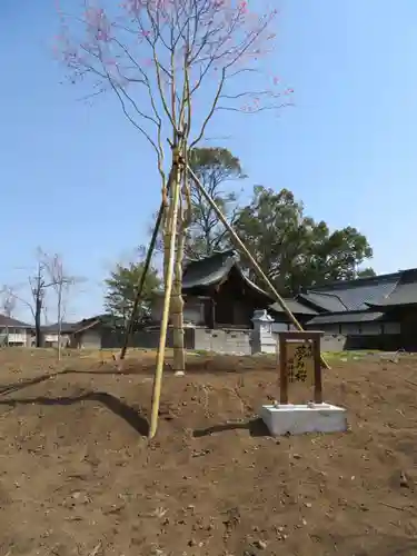 美和神社の自然