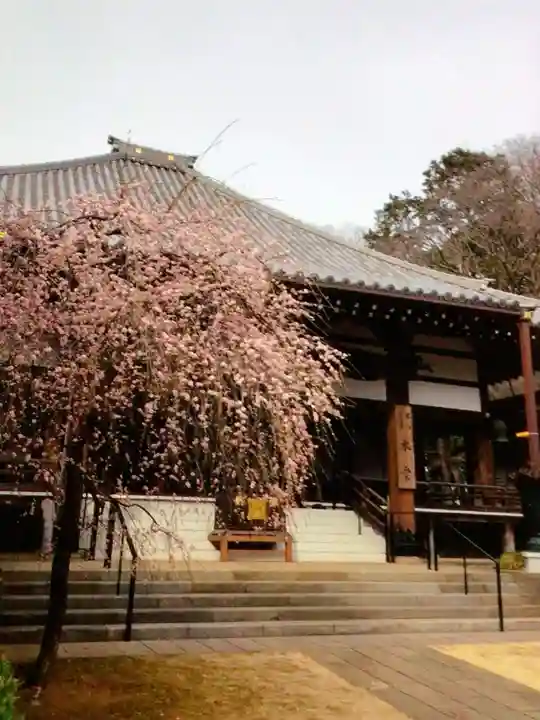 妙法寺(東京都)