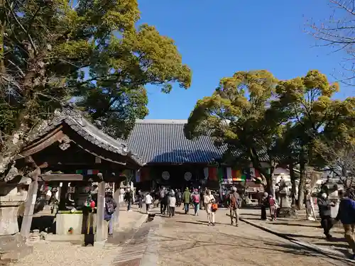 大樹寺（松安院大樹寺）(愛知県)