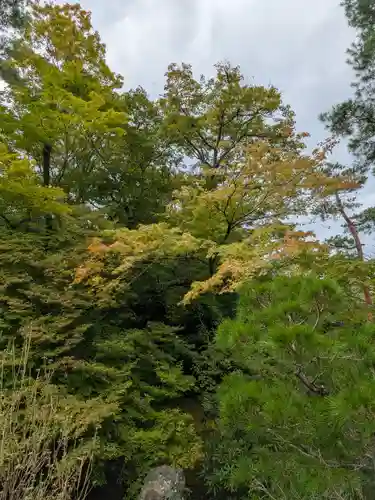 宝厳院(京都府)