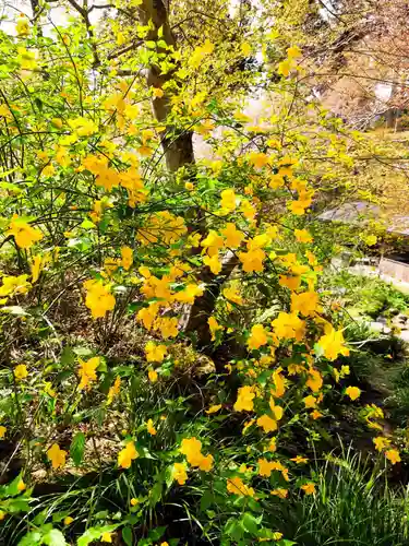 三千院門跡(京都府)