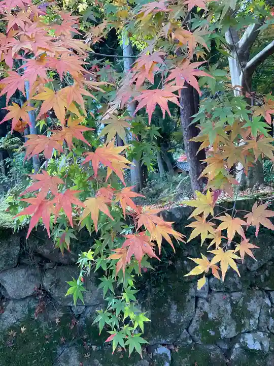 西明寺(滋賀県)
