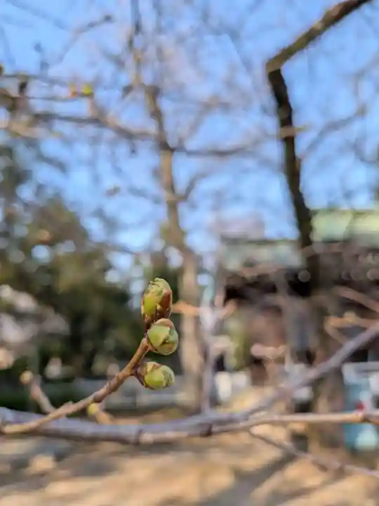 多田神社(東京都)
