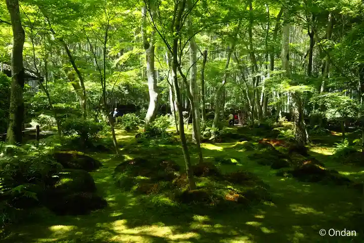 祇王寺(京都府)