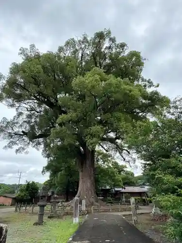 津江神社(福岡県)