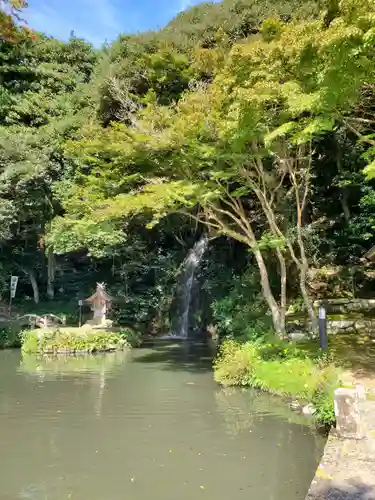 出雲大社北島国造館 出雲教の庭園