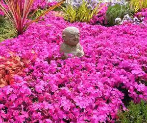 寿量山 速成寺の地蔵(2020年04月27日(月) 04時35分02秒投稿)