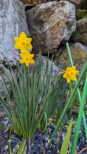 大豊神社の自然