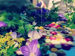 滑川神社 - 仕事と子どもの守り神の手水舎(2020年08月13日(木) 13時11分33秒投稿)