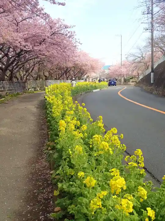 海南神社(神奈川県)