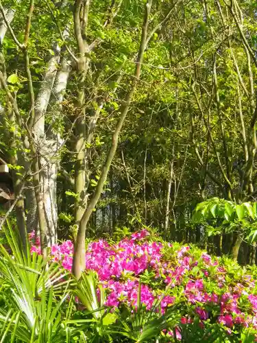 浄光明寺の自然