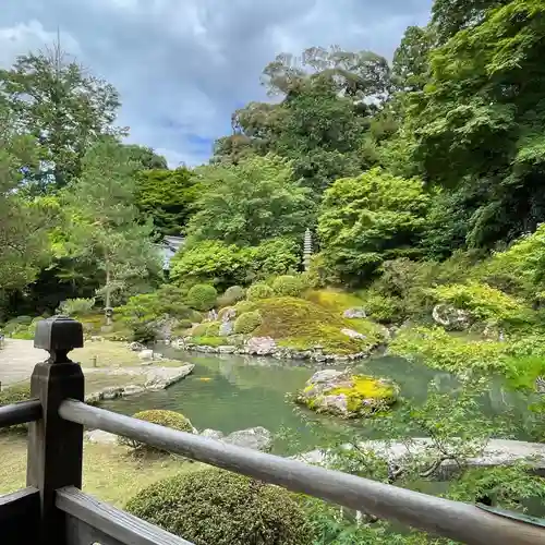 青蓮院門跡の庭園