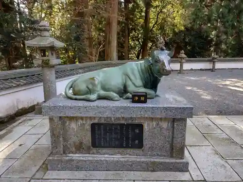 金剛證寺の狛犬