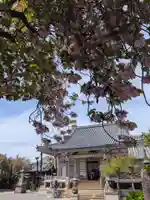荘厳寺(東京都)