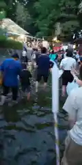 賀茂御祖神社（下鴨神社）の体験その他