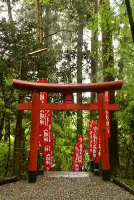 宝登山神社(埼玉県)
