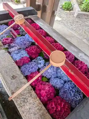 磐井神社(東京都)