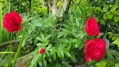 浄明院(愛媛県)