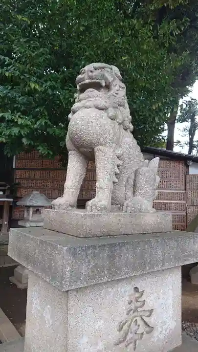 中目黒八幡神社の狛犬