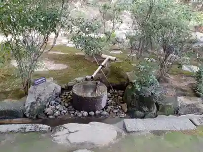 龍安寺(京都府)