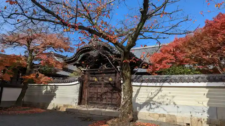 妙顯寺(妙顕寺)(京都府)