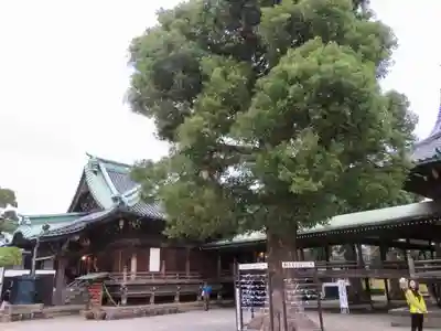 題経寺(柴又帝釈天)のその他建物