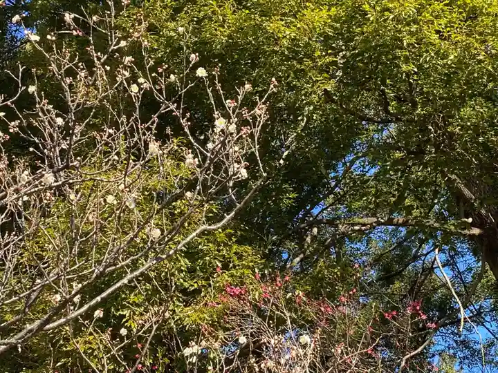 谷保天満宮(東京都)