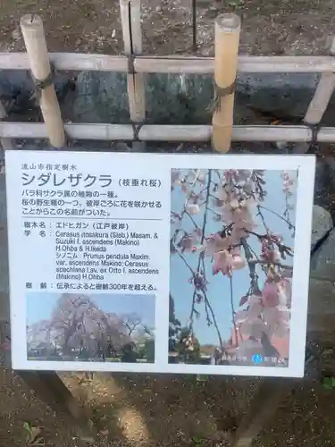 清瀧院(千葉県)