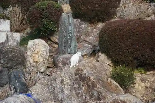 成田山名古屋別院大聖寺(犬山成田山)の動物