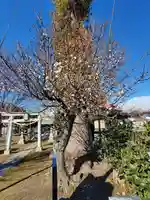 天満宮(福富町)(栃木県)