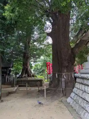 諏訪神社のその他建物