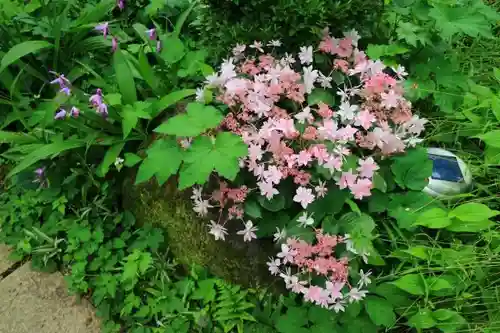 資福禅寺の自然