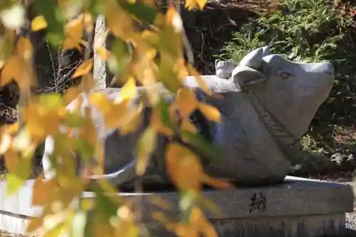 豊景神社の狛犬