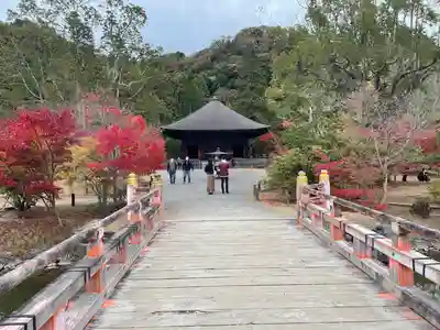 白水阿弥陀堂の本殿・本堂