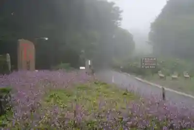 雲辺寺(徳島県)