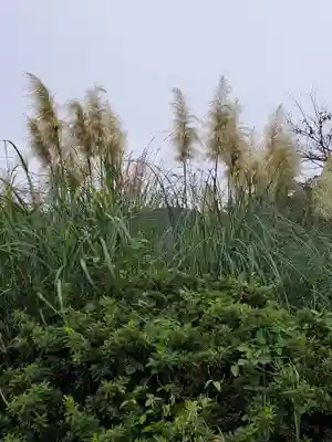 道光寺(埼玉県)